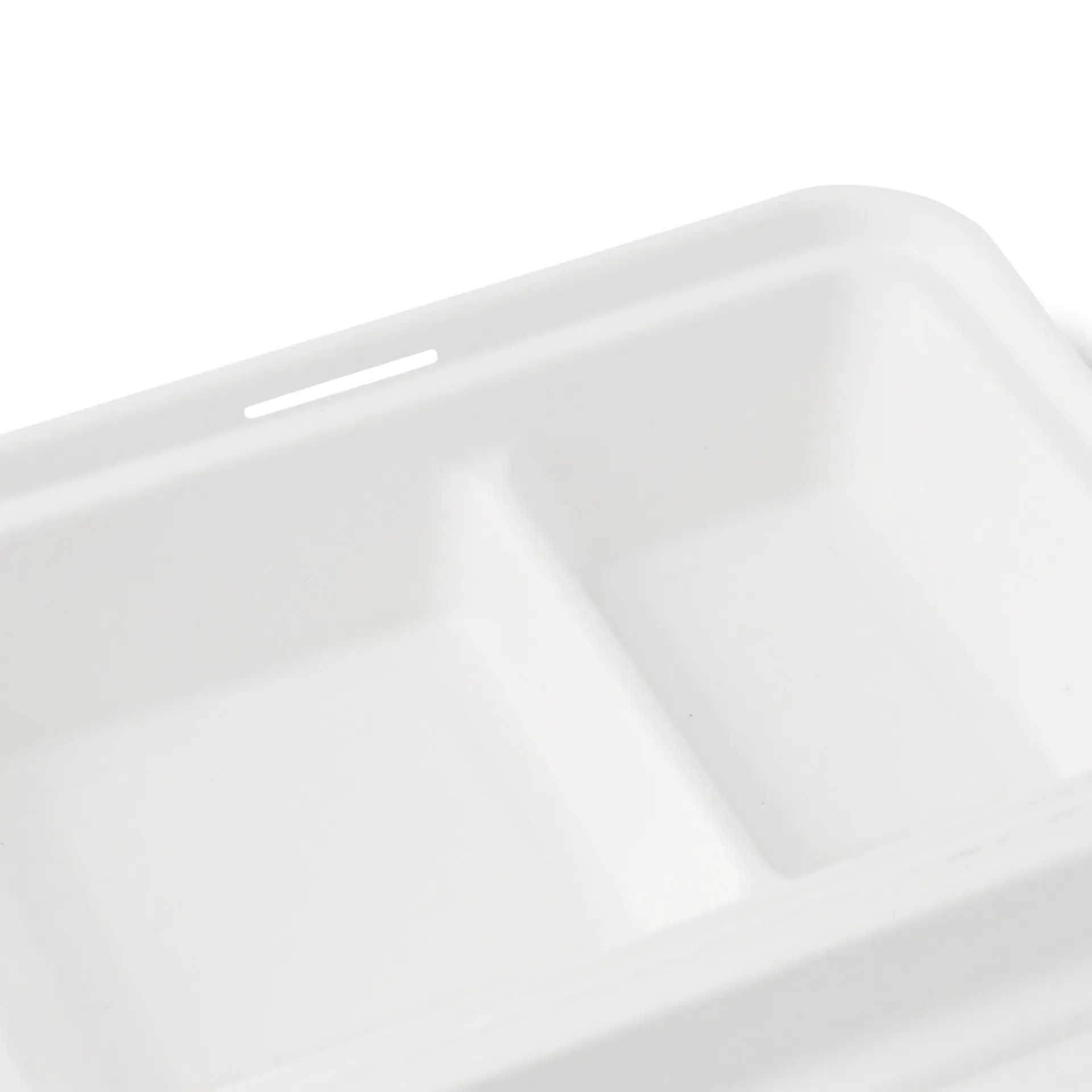 Sugarcane-menu containers 25 x 16,5 x 6,1 cm, 2 compartments, hinged-lid, rectangular