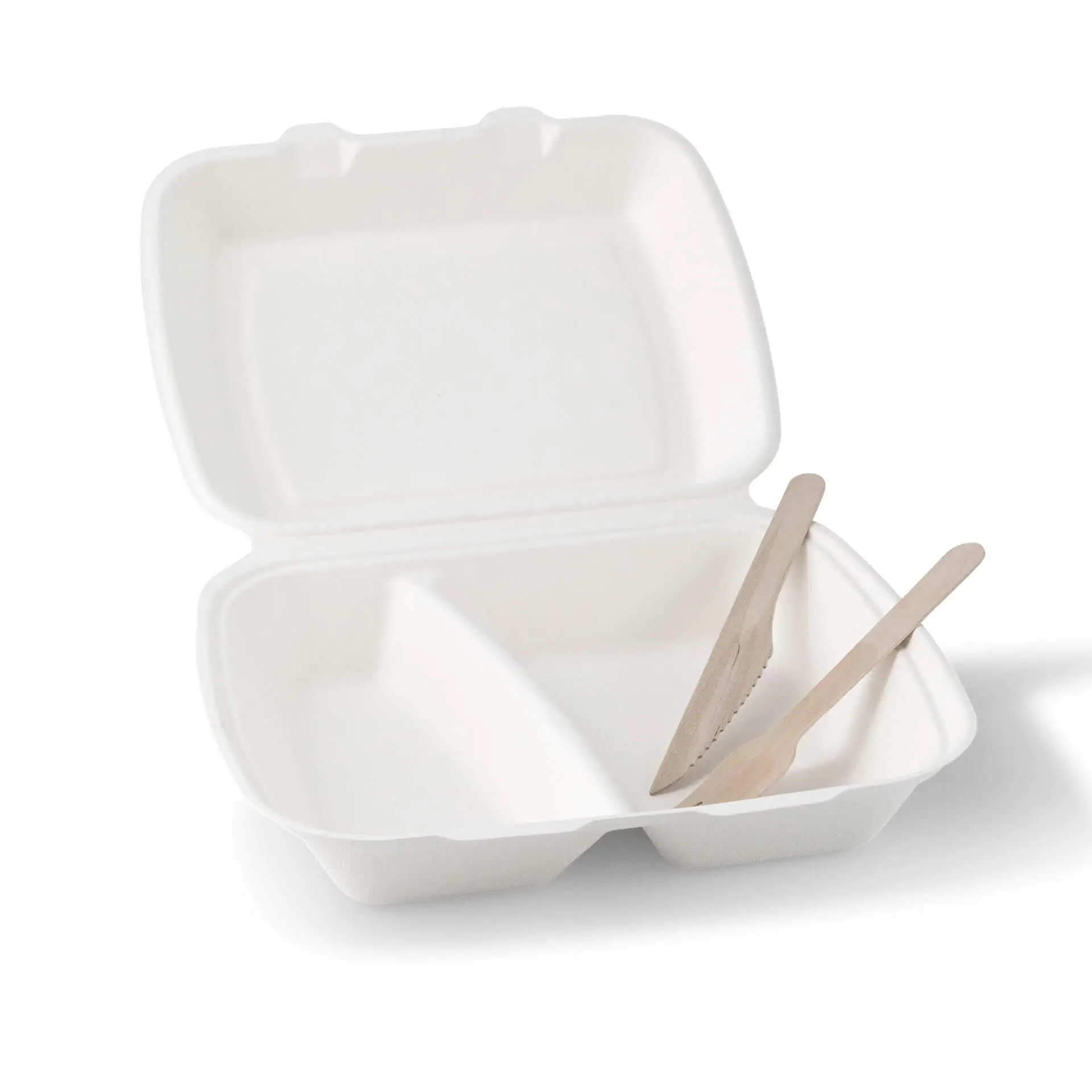 Sugarcane-menu containers 25 x 20 x 7.5 cm, 2 compartments, HP4/2,  hinged-lid, rectangular