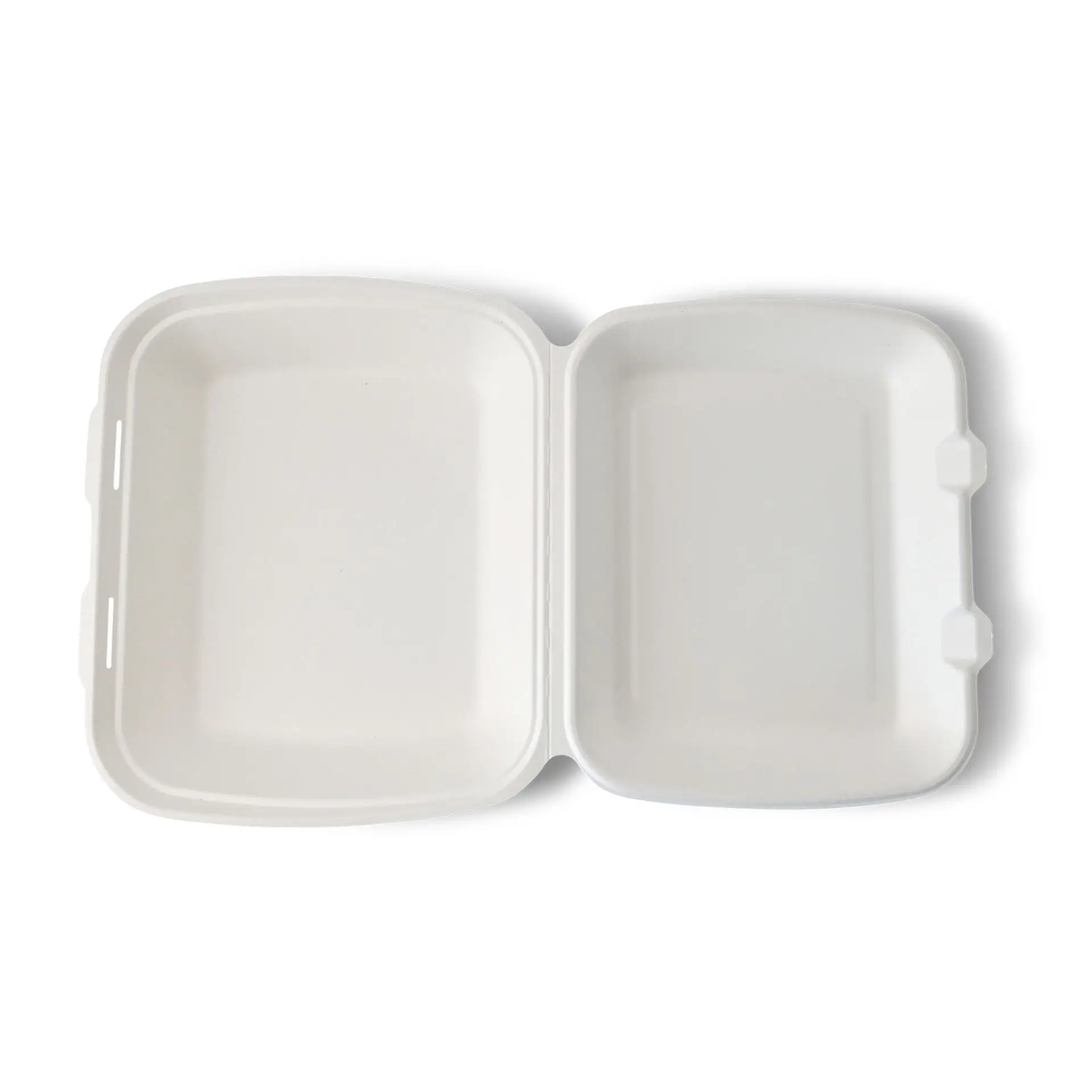 Sugarcane-containers 25 x 20 x 7.5 cm, HP4,  hinged-lid, rectangular